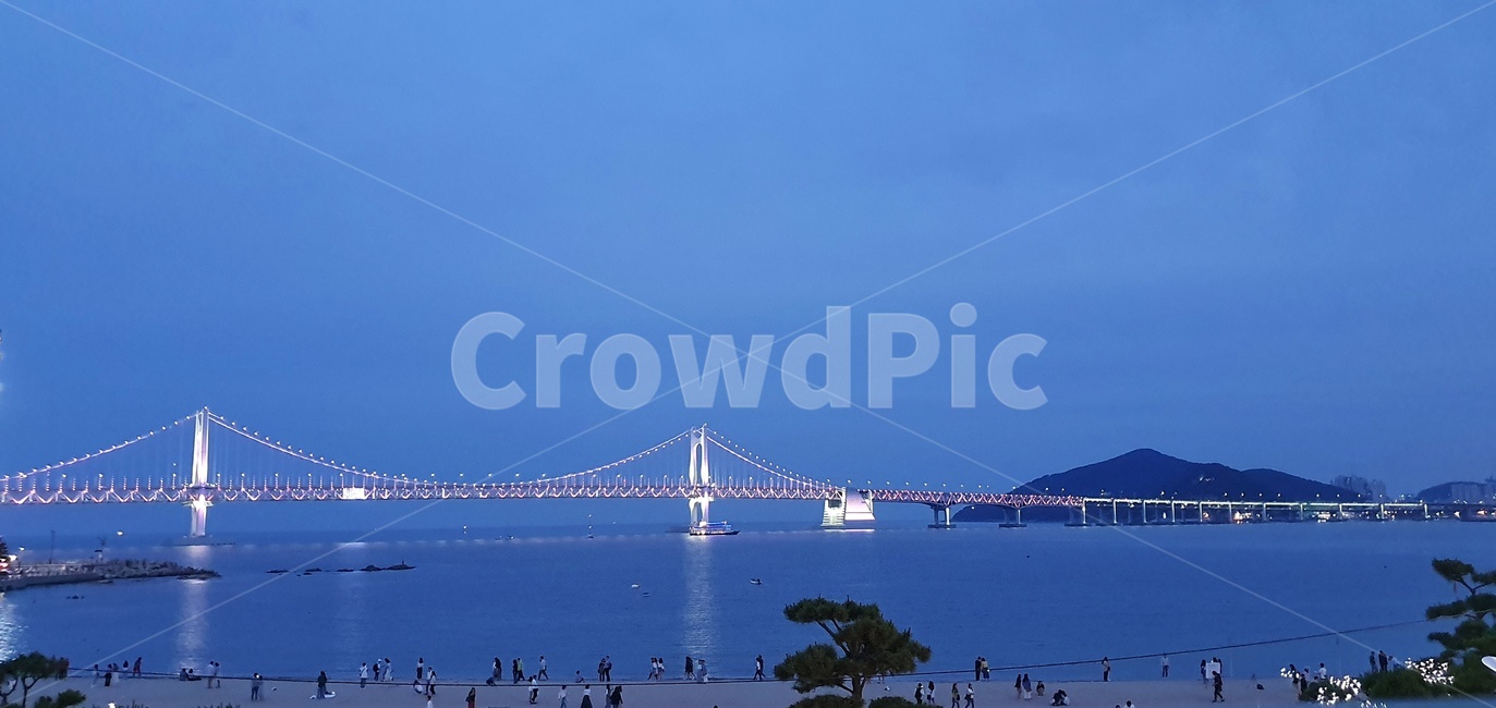 여름밤,광안대교,광안리,바다,평화로움,푸른밤