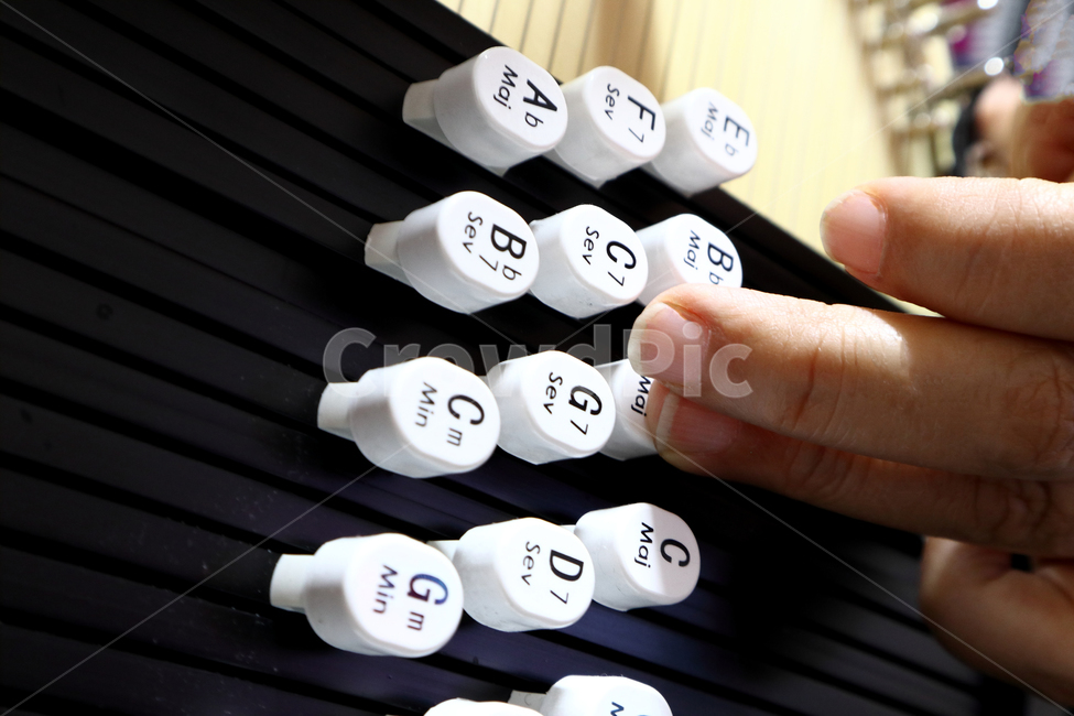 하프,악기,음악,연주,코드,음악가,연습,악기,음향기기,musical instrument,musical equipment