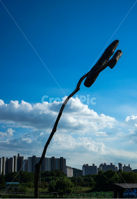 솟대,마을,수호신,전통,민속,민예,하늘,구름,도시,풍경,city,landscape,한국전통,한국문화,korean traditional,korean culture