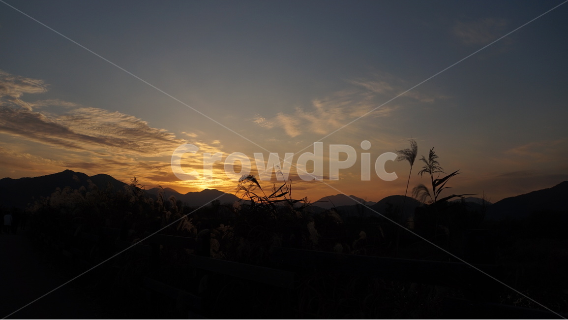 주남저수지,억새,철새,노을,해질녘,sunset,자연,풍경,nature,landscape,실루엣,그림자,silhouette,shadow,outdoors,옥외,sky,하늘,red sky,붉은 하늘,dusk,황혼,dawn,새벽,일몰