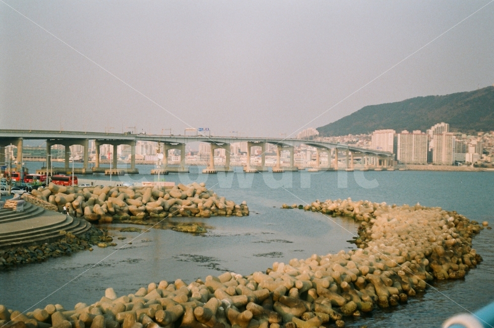 여행,바다,다리,필름,필름카메라,도시,풍경,city,landscape,한국도시풍경,한국도시경관,korea cityscape,감성,sensible,feeling,water,물