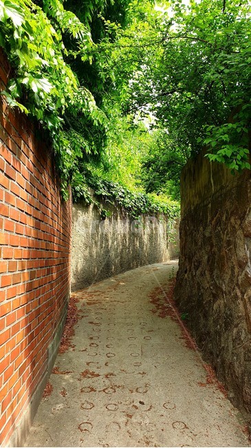 성북동,골목,골목길,벽돌담,길,alley,brick,path,walkway,골목길,alley,brick,벽돌,walkway,보도,path,통로