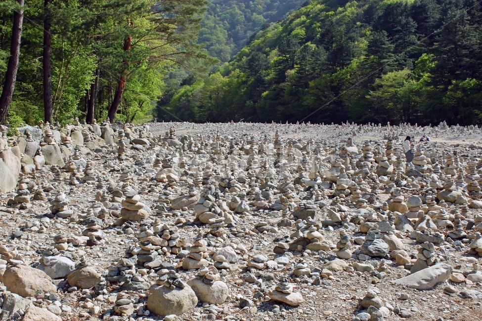 돌담,자연,나무,백담사,산,개울,개울가,돌,nature,treen,green,자연,풍경,nature,landscape,dirt road,흙길,gravel,자갈,road,도로,rubble,파편,ground,바닥