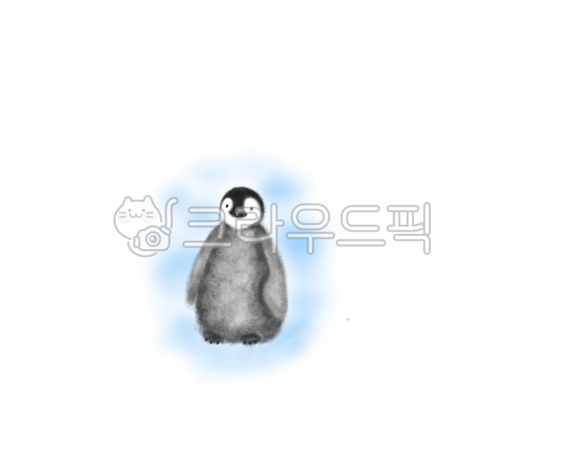 baby penguin,Penguin,penguin drawing,animal,penguin