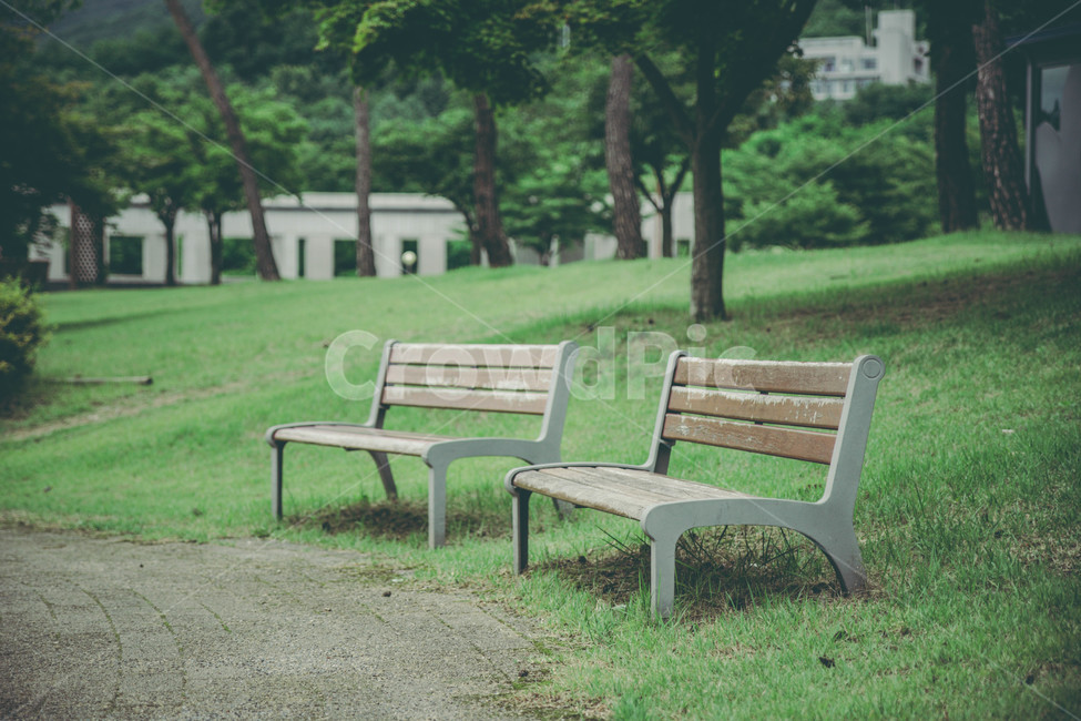 벤치,공원,여름,나무,초록,풀,나무벤치,green,휴식,힐링,rest,relaxation,healing