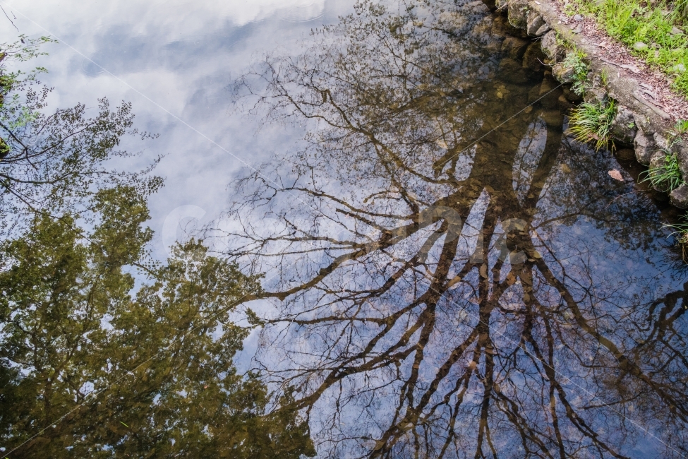 풍경,산,봄,계곡,반영,하늘,자연,풍경,nature,landscape,tree,나무,plant,식물,tree trunk,나무 줄기