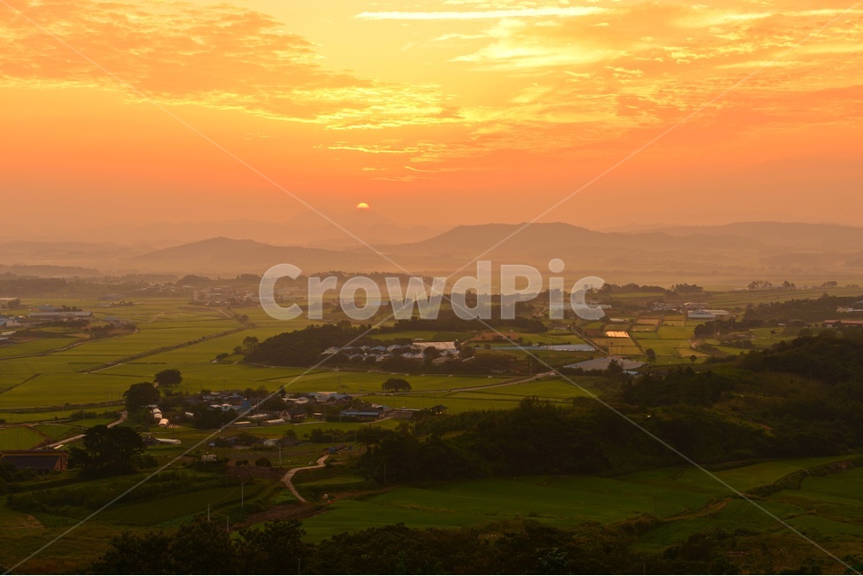 nature,자연,scenery,풍경,outdoors,옥외,landscape,경치,sunlight,햇빛,flare,플레어,light,빛,함평,밀재,밀재일출,아침,해돋이,여명