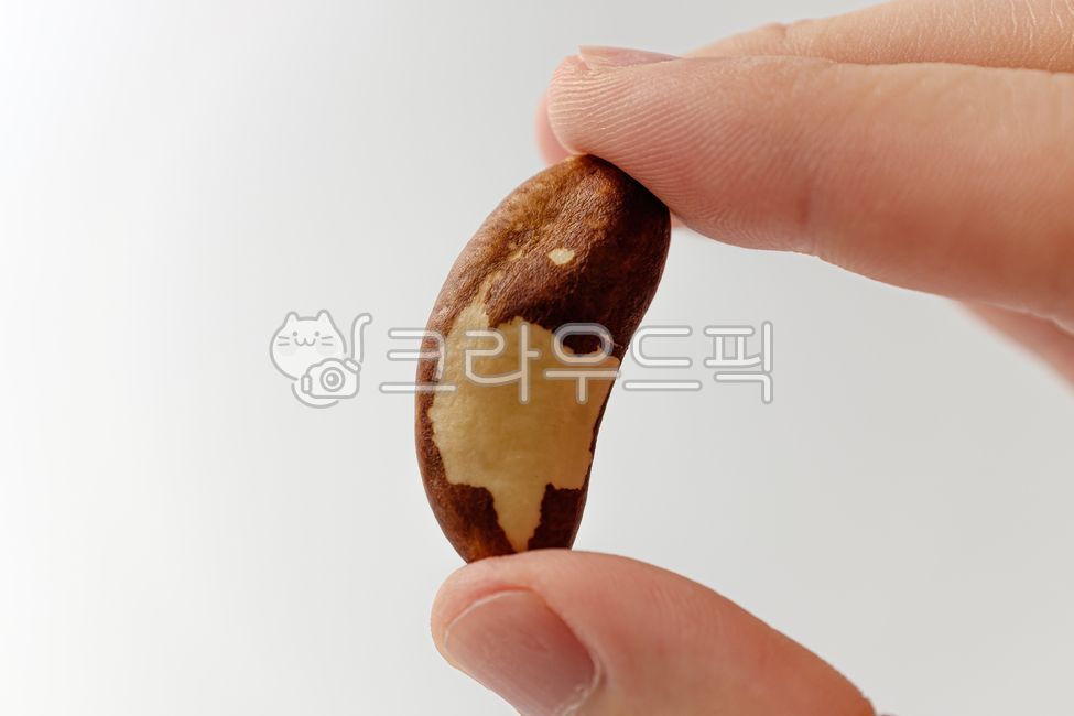브라질너트,브라질넛,견과류,견과,씨앗,간식,디저트,브라질음식,브라질문화,음식,식사,식품,식료품,재료,식재료,음식재료,클로즈업,고소한,단단한,음식,식재료,요리,food,cook,meal,dishes,food reserves