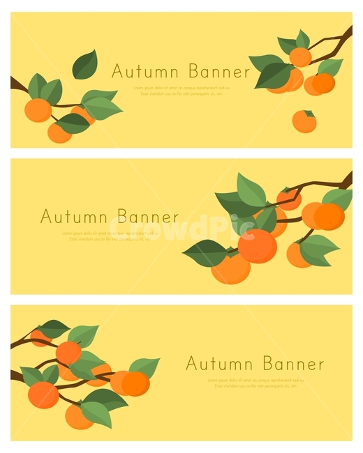 감나무,감,과일,잎,배너,가을,이벤트,가을,계절,fall,autumn,season,축제,행사,festival,carnival,event,그래픽,일러스트레이션,graphic,illustration,plant,식물,food,음식,fruit