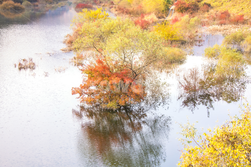 가을풍경,가을,반영,자연,nature,용담호,tree,plant,가을,계절,fall,autumn,season,자연,풍경,nature,landscape,한국자연풍경,한국자연경관,korea nature landscape
