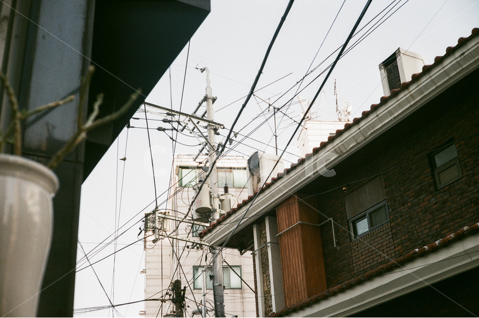망원동,골목,주택,전봇대,하늘,전선,mangwon,alley,house,sky,wires,telephonepole,주택가,복잡,complexity,필름사진,film,골목길,alley,빈티지사진,빈티지느낌,빈티지감성,vintage
