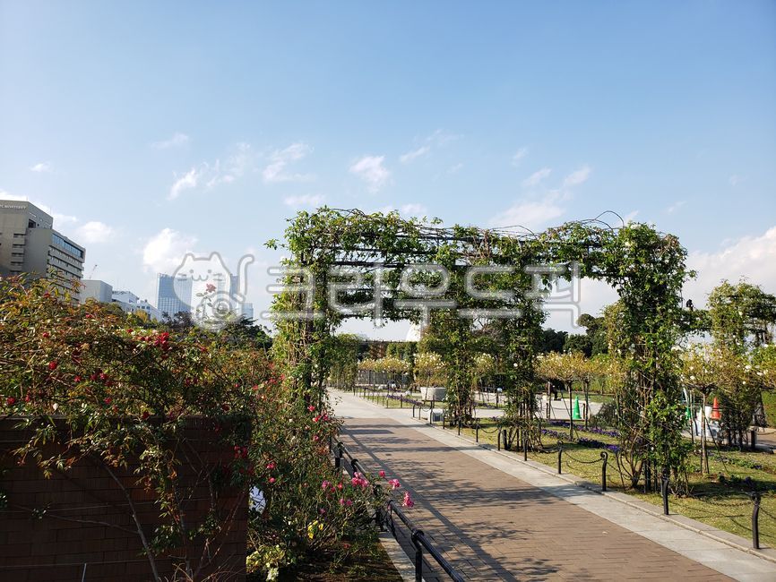 yokohama,japanese,outdoors,japan,Yokohama,garden,Japan Attractions