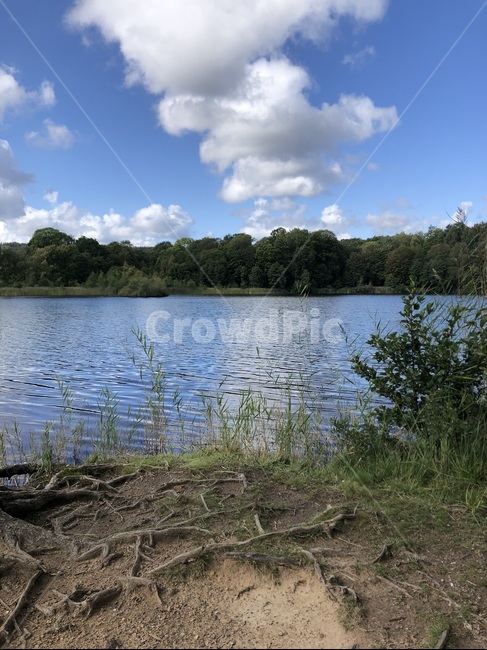 nature,자연,water,물,outdoors,옥외,sweden,lakeside