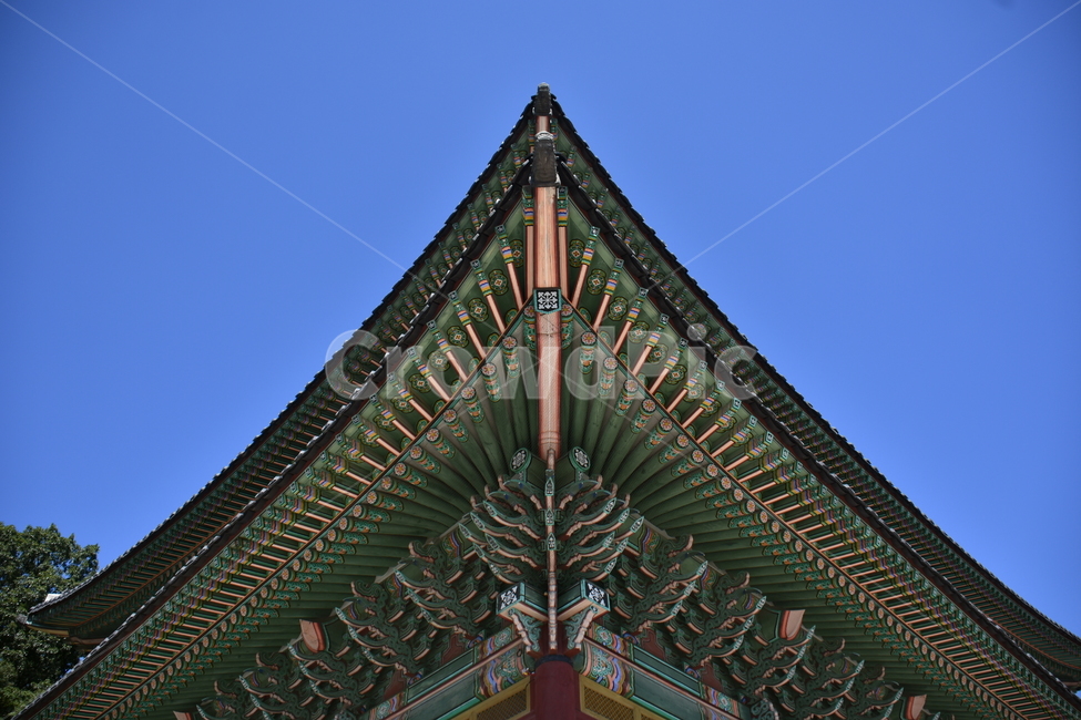 창경궁,단청,고궁,처마,바탕화면,한국전통,한국문화,korean traditional,korean culture,건축물,건물외관,exterior,building,structure,architecture,construction