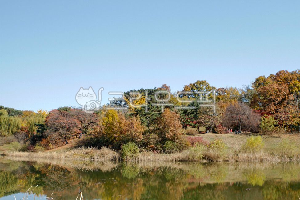 Olympic Park,theme park,Move room,city,nature,tree,water,seoul,trail,plant,maple,park,walk,Songpagu,Maple