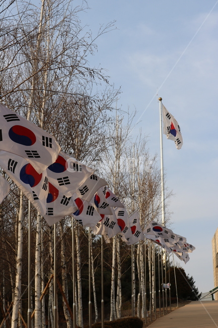 태극기,국기,자작나무,태극문양,도로,감성,배경,하늘,겨울