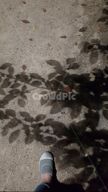 밤,그림자,발,신발,밤길