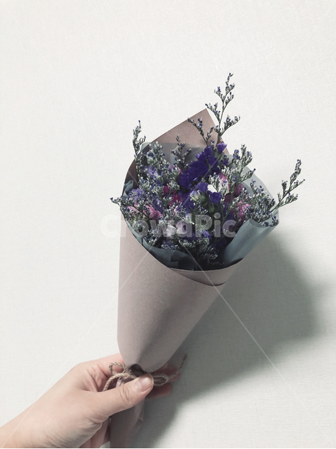 꽃,감성,라이프,심플,모던,꽃,flower,기념일,축하,anniversary,congratulation,celebrate,celebration