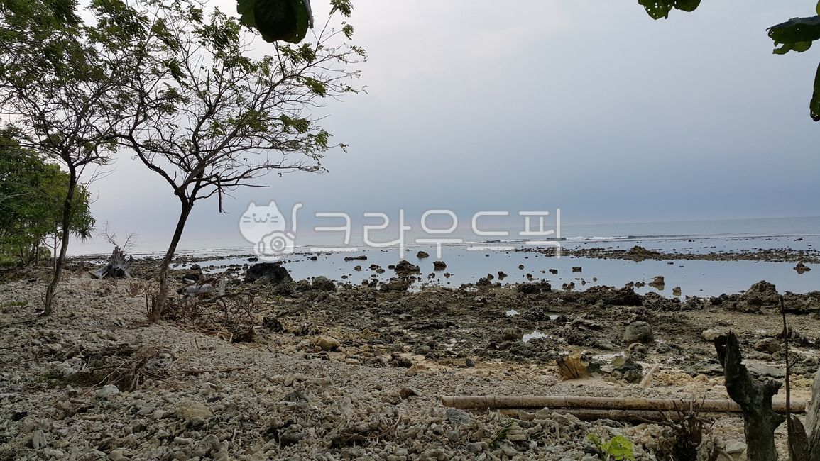 해변,이국적풍경,자연,간조,썰물,하늘,바다