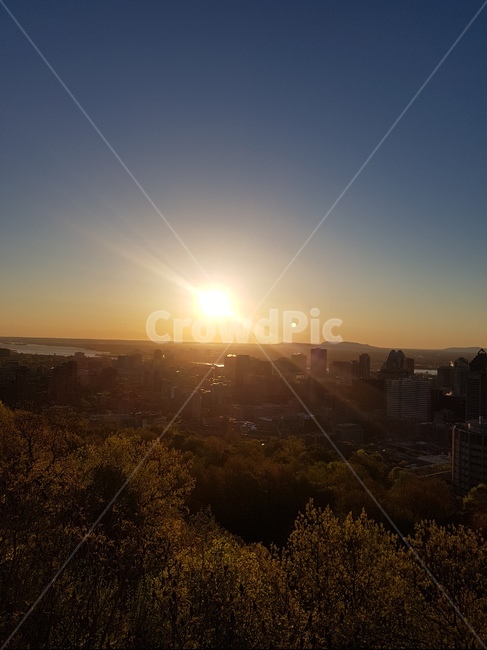 햇빛,light,빛,일출,나무,하늘