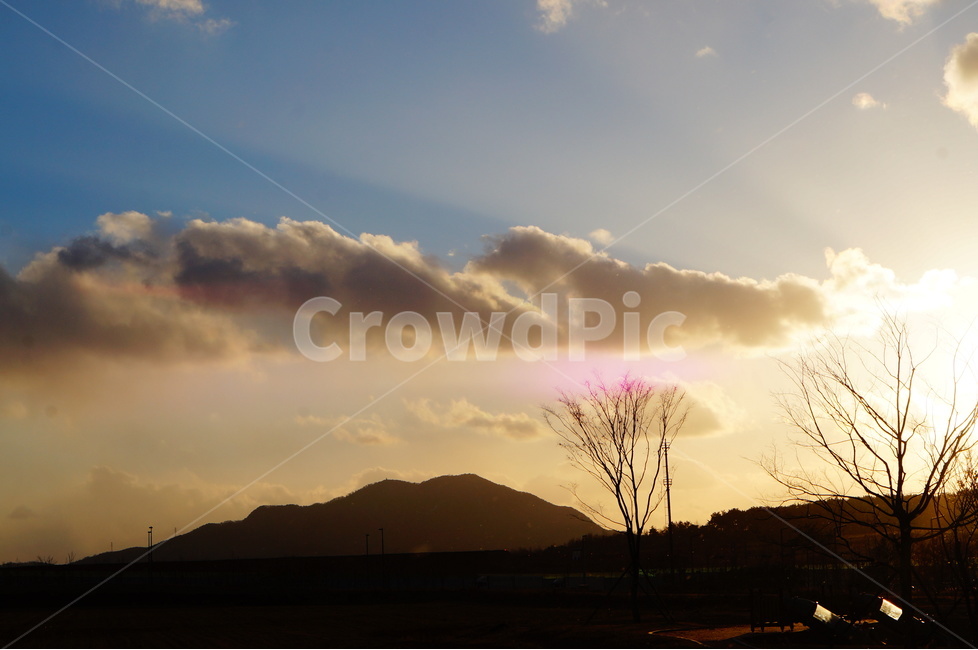 해,구름,나무,햇빛,풍경,자연,풍경,nature,landscape,light,빛,flare,플레어,sunlight,outdoors,옥외