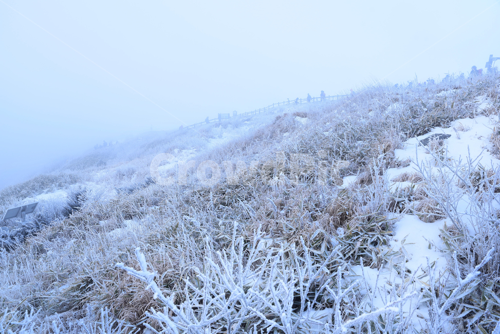덕유산,겨울산,상고대,눈,운해,안개,아침,일출,여명,구름,새벽,등산,눈꽃,산행,deokyumountain,winter,snow,fog,mist,sunrise,cloud,sky,climbing,morning