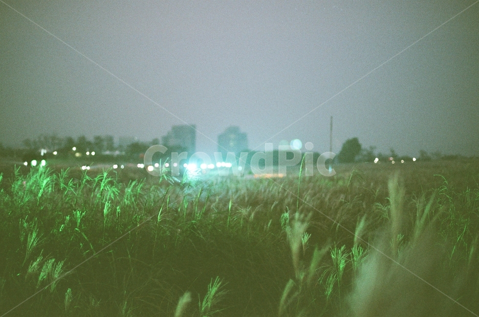 아경,하늘공원,분위기,필름사진,불빛,자연,풍경,nature,landscape,야경,밤,nightscape,night,감성,sensible,feeling,light,빛,flare,플레어