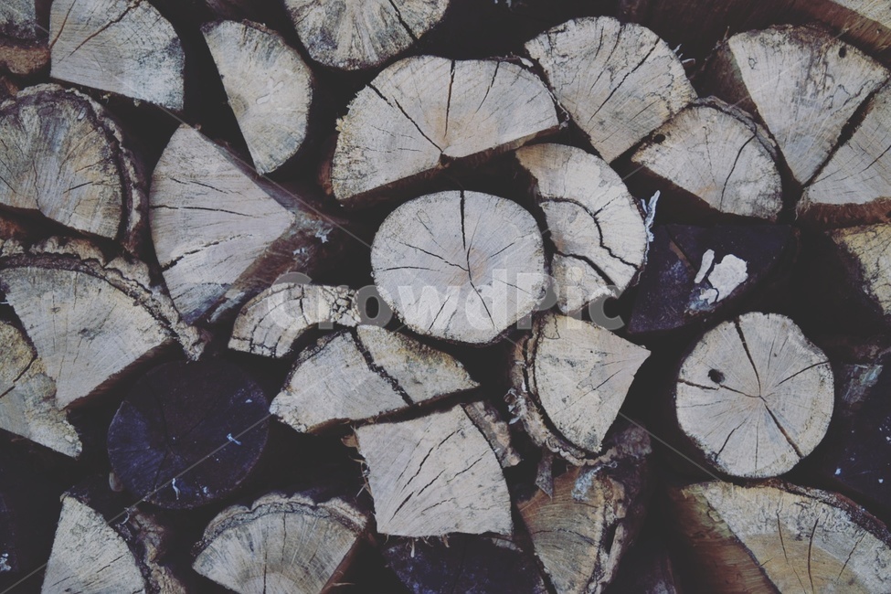 나무,장작,패턴,평화,평온,나무,trees,wood