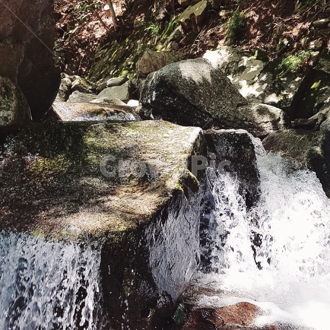 계곡,돌,자연,물,water