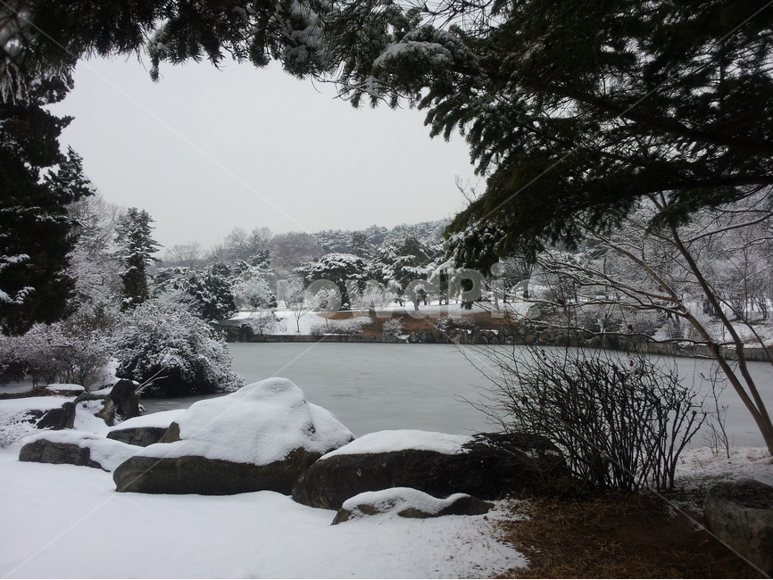 현충사,설경,풍경,겨울,눈,겨울,계절,winter,season,자연,풍경,nature,landscape,한국자연풍경,한국자연경관,korea nature landscape,tree,나무,plant,식물,ice,빙,outdoors,옥외,abies,아비,fir,전나무