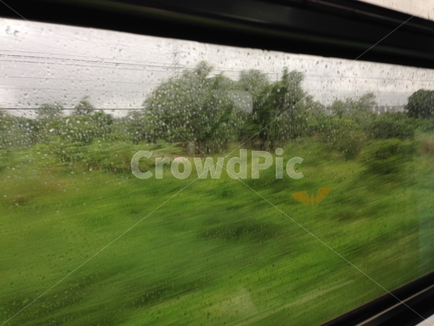 기차,비,weather,train,summer