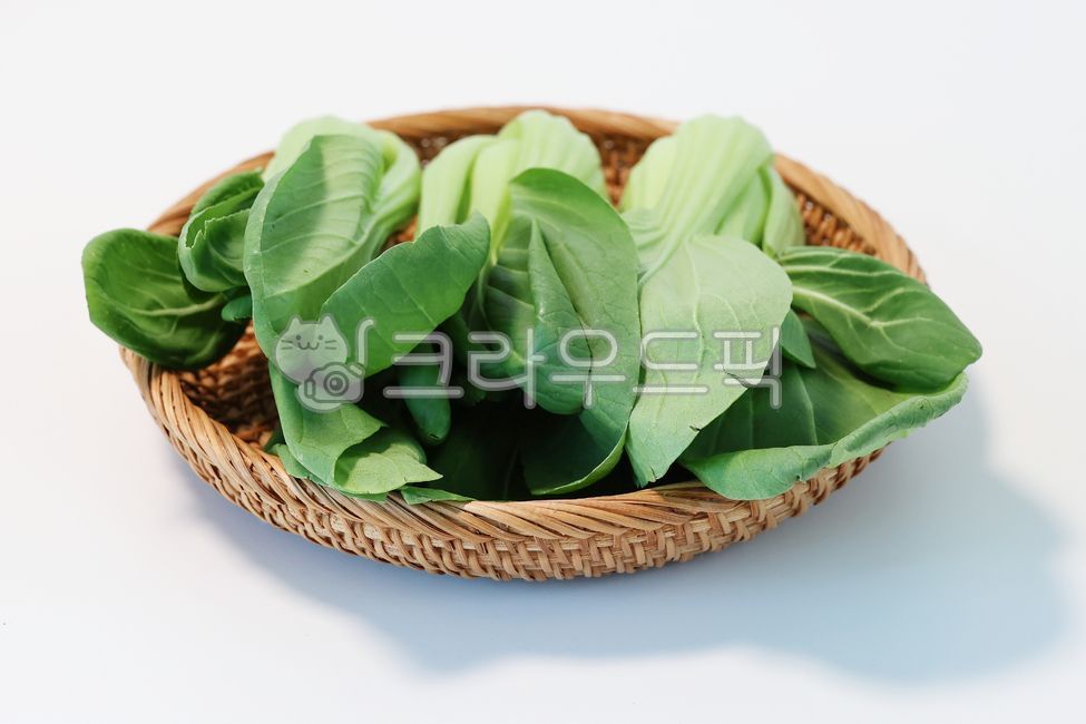 청경채,식재료,야채,채소,pakchoi,bokchoy,food,vegetable,음식,농산물,요리재료