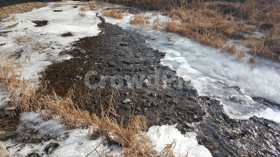 겨울,산책로,겨울풍경,야외,겨울산책로,공원,풍경,겨울,계절,winter,season,자연,풍경,nature,landscape,land,땅,outdoors,옥외