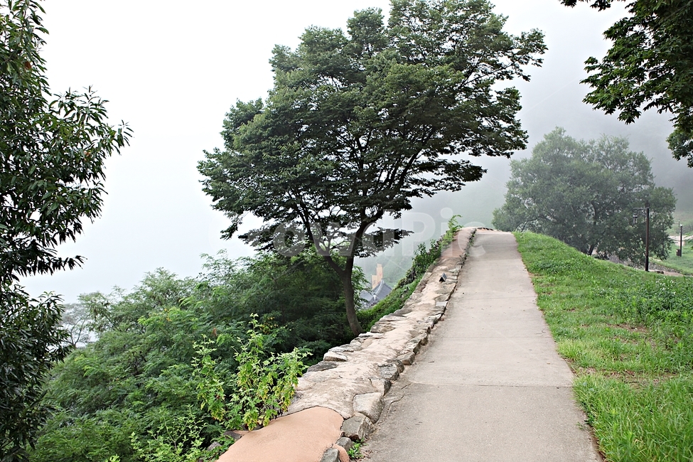 공주산성,성,성곽,산성,길,둘레길,숲,숲길,안개,돌담,담,여름,풍경,벽,방어벽,나무,식물,유네스코등제