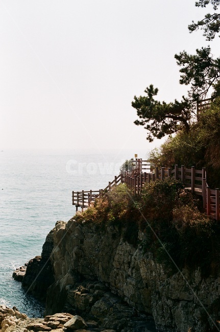 이기대,바다,갈맷길,해안산책로,부산,필름,필름사진,트레킹,관광지