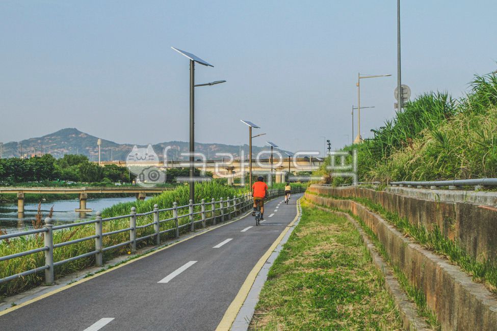 서울,중랑천,응봉교,동부간선도로,산책,산책로,도로,고속도로,아스팔트,산,다리,난간,옥외,자연,인간,자전거,road,highway,asphalt,mountain,bridge,railing,outdoors,nature,human,bike