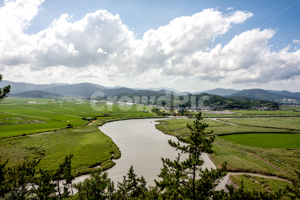 outdoors,옥외,nature,자연,field,경치,landscape,들,순천만,국가정원