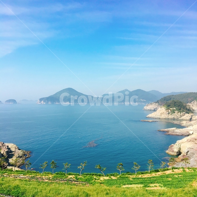 호수,자연,산,바다,나무,해안가