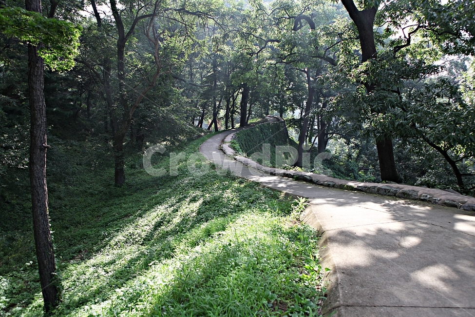 공주산성,산성,성,성곽,길,둘레길,숲,숲길,안개,담,돌담,여름,풍경,흙담,나무,식물,유네스코등제
