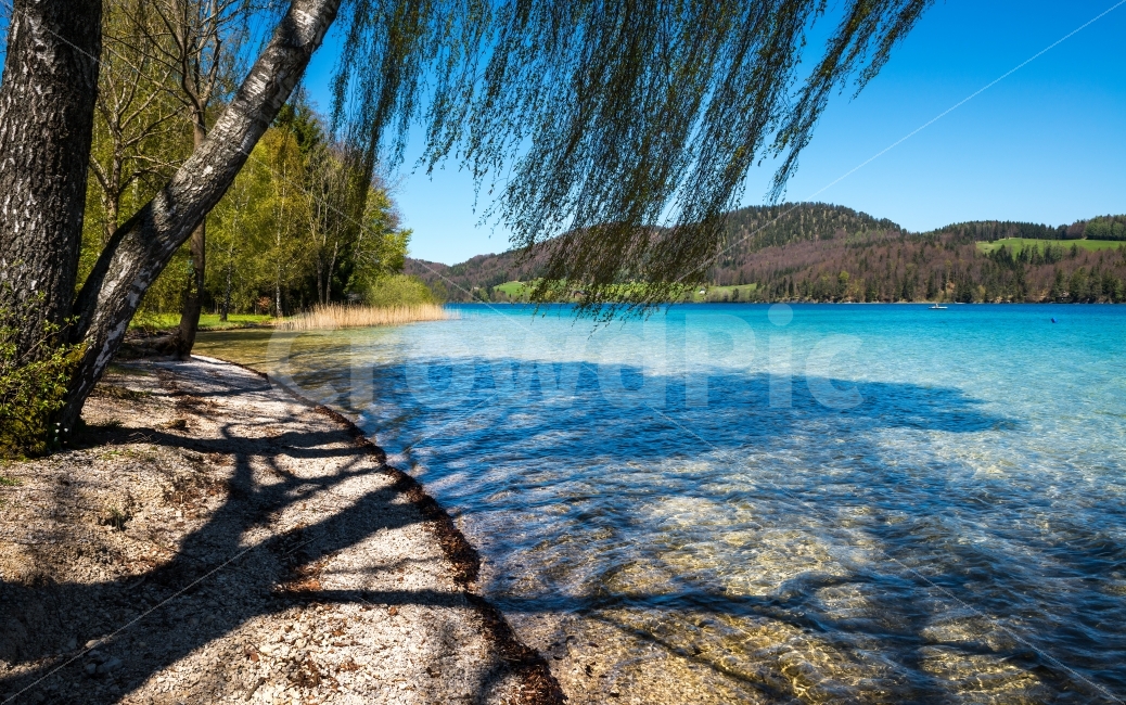 오스트리아여행,볼프강,에메랄드빛호수,트레킹,잘츠부르크,자연,풍경,nature,landscape,해외,외국,세계,foreign,oversea,world,tree,나무,plant,식물