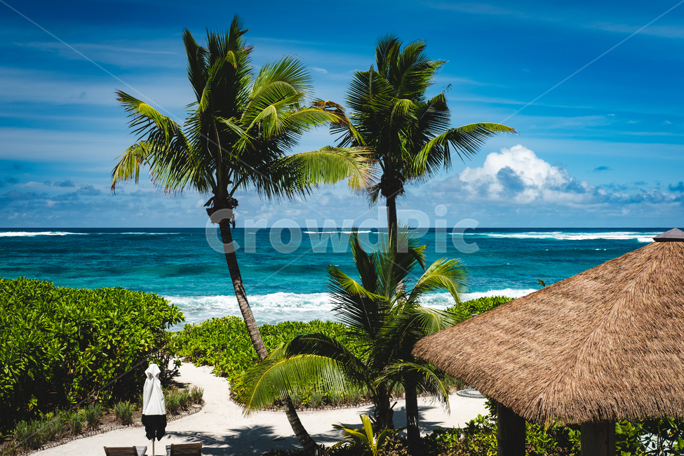 셰이셀,바다,해변,seychelles,셰이샐,야자수,자연,풍경,nature,landscape,해외,외국,세계,foreign,oversea,world,세계자연풍경,해외자연풍경,외국자연풍경,world nature landscape,summer,여름