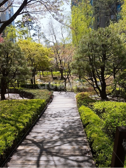 오후,산책,빌딩숲나무,나무,빌딩숲산책로