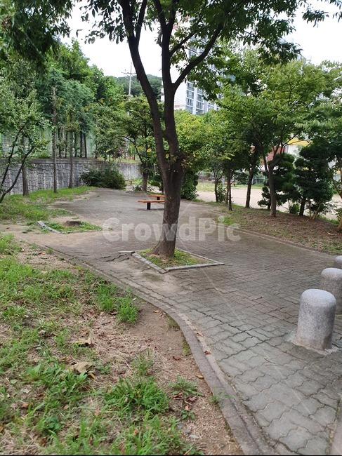 나무,공터,밴치,잡초,자연,벽돌,나무,trees,wood