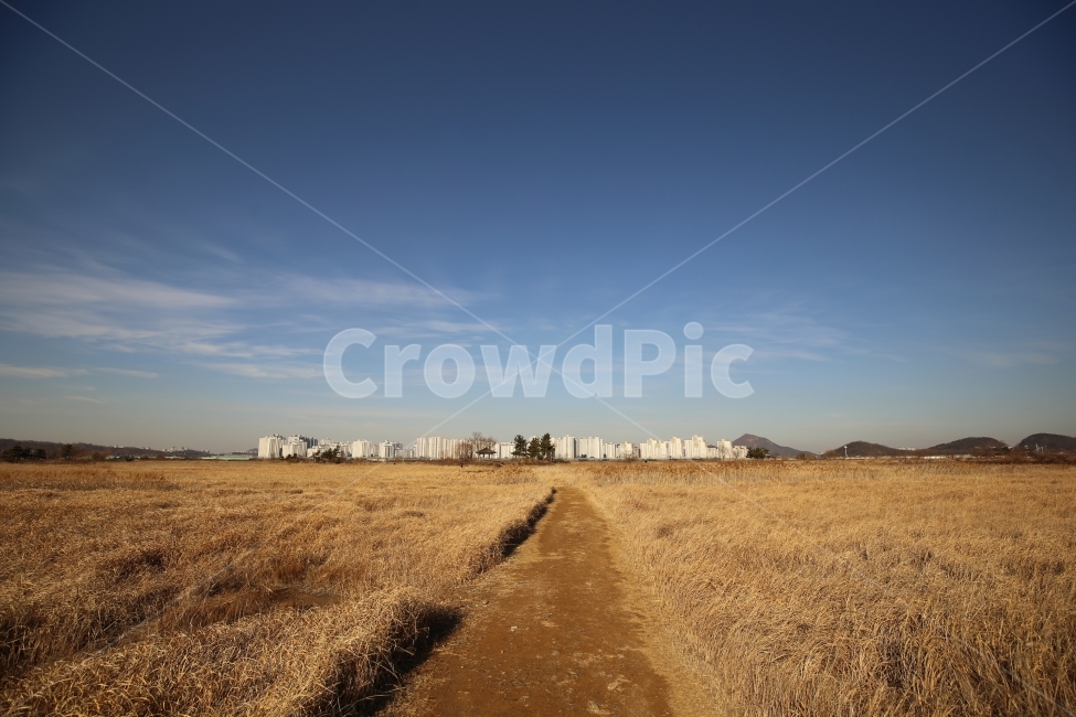 풍경사진,풍경,인천,소래습지생태공원,갈대밭,자연,풍경,nature,landscape,한국자연풍경,한국자연경관,korea nature landscape,도시,city,한국도시풍경,한국도시경관,korea cityscape,dirt road,흙길,gravel,자갈,road,도로,ground,바닥,outdoors,옥외