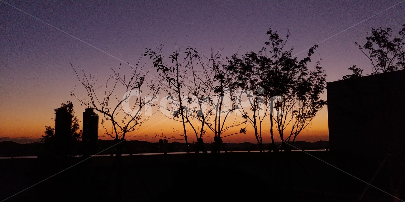 하늘,밤하늘,풍경,야경,노을,해질녘,저녁,석양,자연,경치,sunset,sky,nature,따듯한,운치있는,분위기있는,그림같은,도시,풍경,city,landscape,실루엣,그림자,silhouette,shadow,outdoors,옥외,dusk,황혼,일몰,red sky,붉은 하늘,dawn,새벽