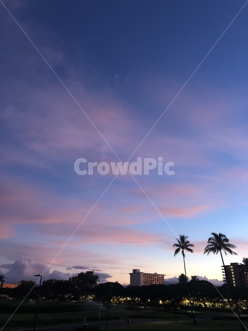 노을,핑크빛,야자수,하와이,마우이,하늘,구름,역광,hawaii,maui,sunset,palm,palmtree,pink,gradient,그라데이션,color,beauty,beautyofcolor,vivid,sky,blue,cloud