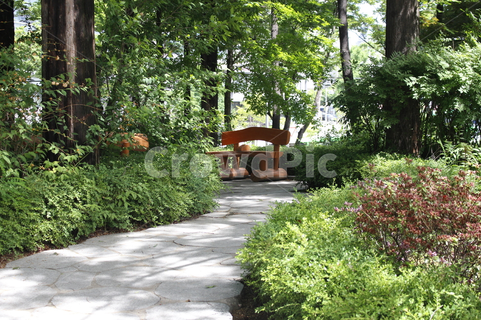 옥외,정원,길,trail,판석,옥외정원,자연,풍경,nature,landscape