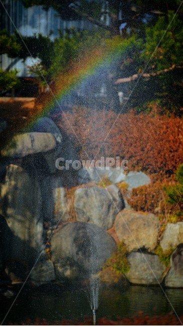 분수,무지개,자연,rainbow,물줄기,연못