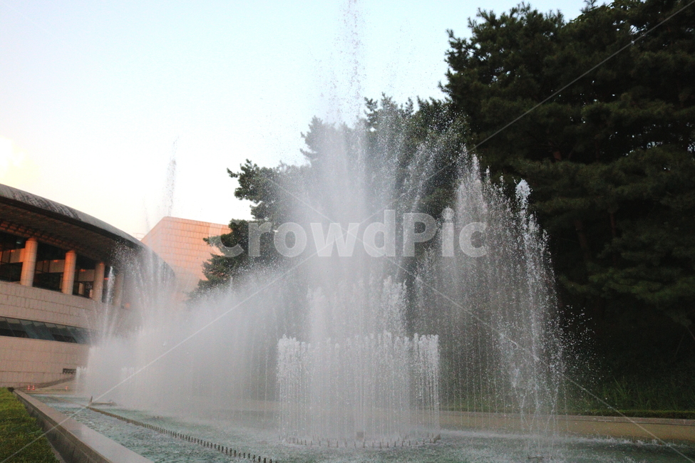 분수,분수대,물,공원,예술의전당,나무,소나무,자연,풍경,nature,landscape,water,fountain