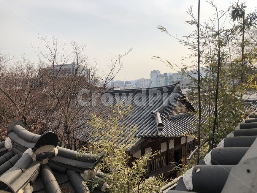 roof,지붕,기와,기와지붕,전통,전통가옥,한옥